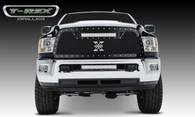 trex grille 2.jpg