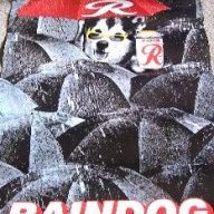 Rustyraindog