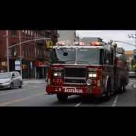 FDNY_Moose