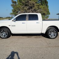 Terry2014RAM