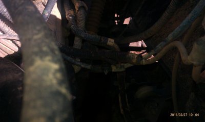 IMAG0085.jpg