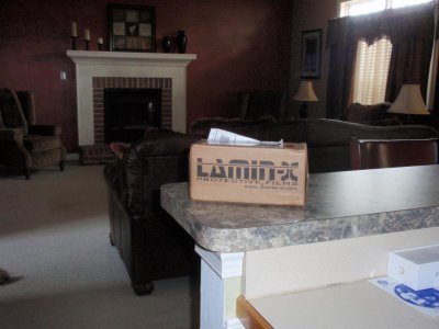 LAMIN-X.jpg