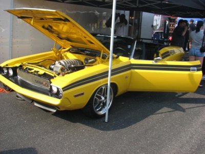 IMG0029.jpg