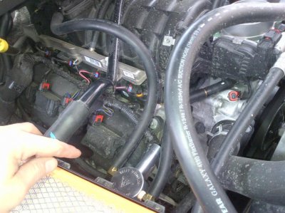 IMG-20130316-00198.jpg