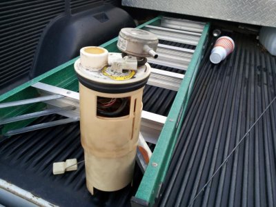 20130415_194455.jpg