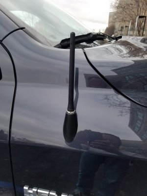 antenna.jpg