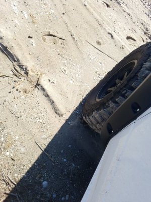 20180208_113240.jpg 20180208_113240.jpg