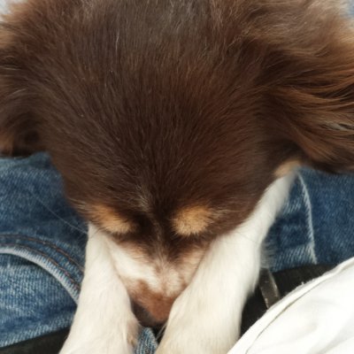 Screenshot_20180304-185713.jpg Screenshot_20180304-185713.jpg