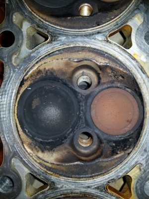 20180320_131202.jpg 20180320_131202.jpg