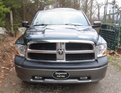 fog lamps 2.jpg fog lamps 2.jpg