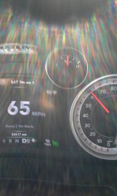 speedo 3.jpg