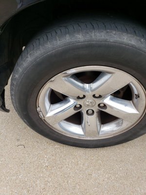 20180501_133156.jpg