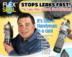 flexseal.jpeg