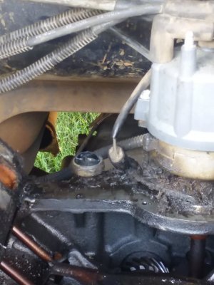 20180528_150516.jpg