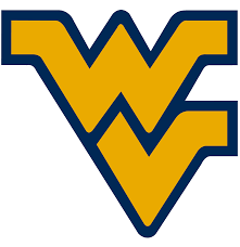 Flying WV.png Flying WV.png