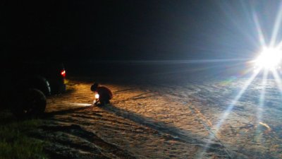 IMG_20180610_023043.jpg
