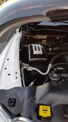 20180207_164006.jpg
