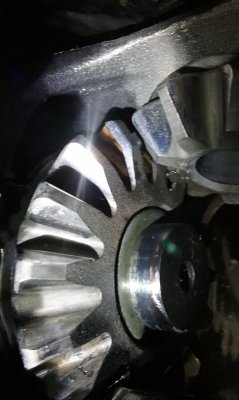 20180617_130538.jpg