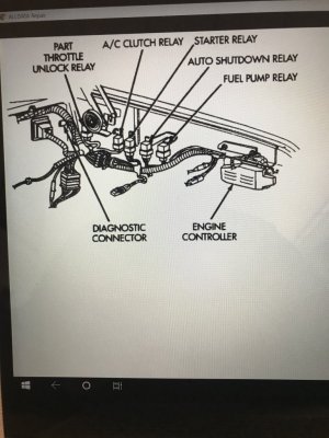 fuel relay.jpg