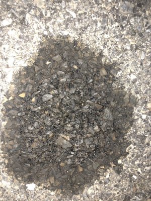 B3B317FE-AA4E-4708-ADA8-4ED65E311285.jpeg