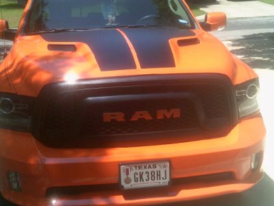 ramgrille002.JPG