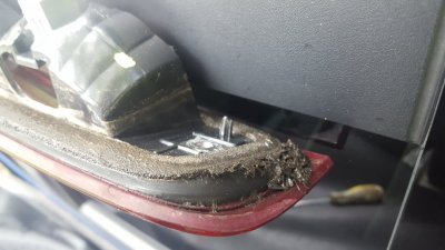 20180926_103427.jpg