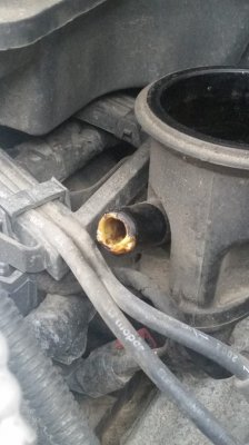 oil filler tube.jpg