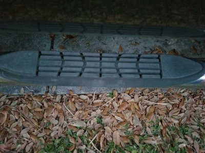 20181109_175259.jpg