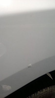 WP_20170408_13_05_47_Pro.jpg WP_20170408_13_05_47_Pro.jpg