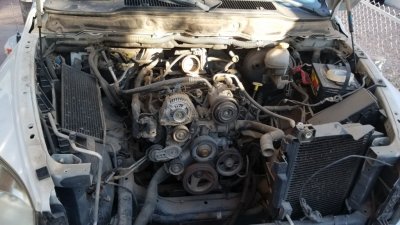 20181111_153628.jpg