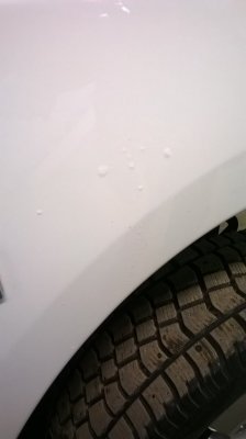 WP_20181123_11_01_36_Pro.jpg WP_20181123_11_01_36_Pro.jpg