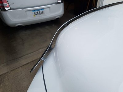 20181208_150045.jpg