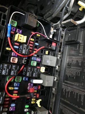D1CAE715-EC35-4AAD-A1D8-881ADFBC6929.jpeg D1CAE715-EC35-4AAD-A1D8-881ADFBC6929.jpeg