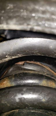 20190105_084628.jpg