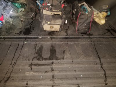 20190117_051138.jpg 20190117_051138.jpg
