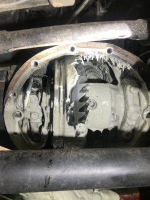 DE0296C4-4CA3-47AF-AC90-EA0ED2EDD794.jpeg DE0296C4-4CA3-47AF-AC90-EA0ED2EDD794.jpeg