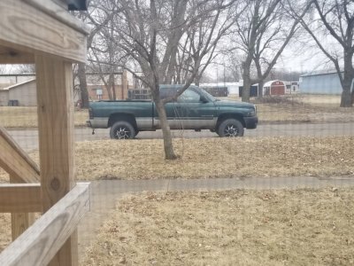 20190202_150039.jpg