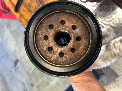 Rear Filter.jpg