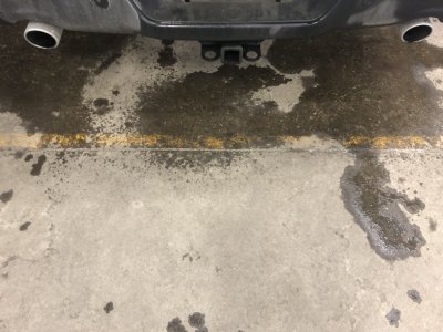 B0742187-6AC5-4E91-AB57-ADEA0B8CB0C6.jpeg B0742187-6AC5-4E91-AB57-ADEA0B8CB0C6.jpeg