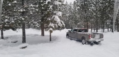 20190226_142413.jpg 20190226_142413.jpg