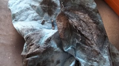 100_0363.JPG
