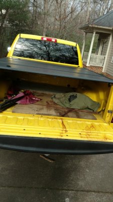 Truck.jpg