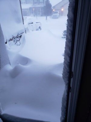 20190313_191015.jpg