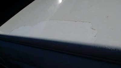20180816_100509.jpg 20180816_100509.jpg