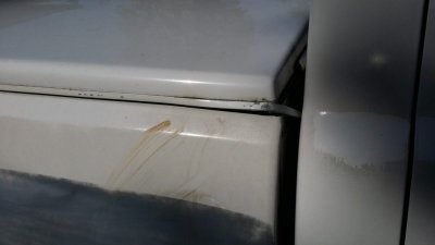 20180816_100528.jpg 20180816_100528.jpg