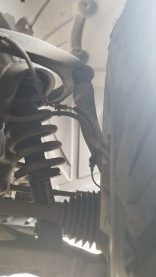 20190324_090316.jpg