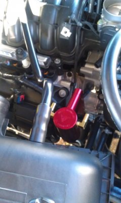 IMAG0436.jpg