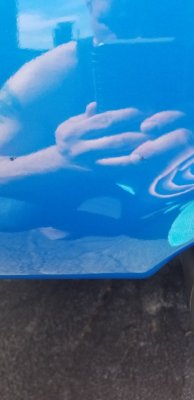 20190412_125058.jpg