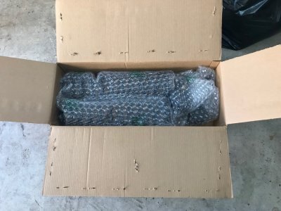 coils_5.jpg