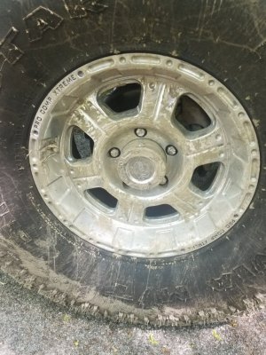 20190507_125910.jpg